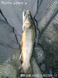 ¥Ö¥é¥¦¥ó¥È¥é¥¦¥È