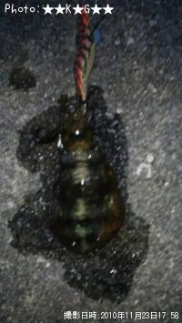 �����ꥤ��