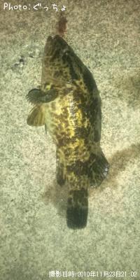 �����Υ���Х�