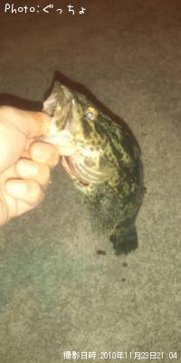 �����Υ���Х�