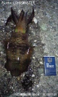 �����ꥤ��