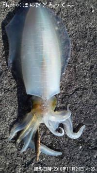 �����ꥤ��