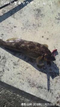 �����ʥ�