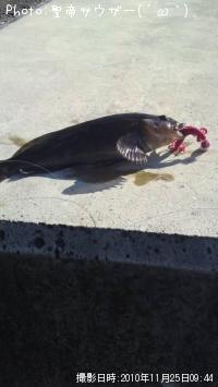 �����ʥ�