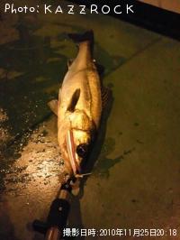 �����Х�