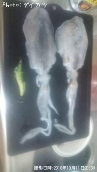 �����ꥤ��