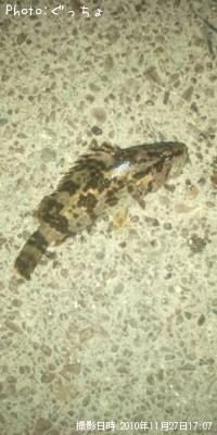 �����Υ���Х�