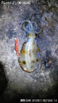 �����ꥤ��