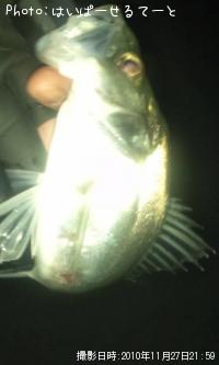 �����Х�