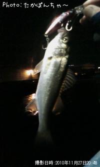 �����Х�