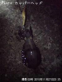 ¥¢¥ª¥ê¥¤¥«