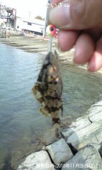 ¥¿¥±¥Î¥³¥á¥Ð¥ë