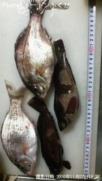 ¤¦¤ß¤¿¤Ê¤´