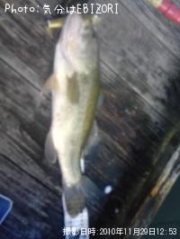 �֥�å��Х�