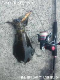 �����ꥤ��