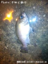 ������Х�