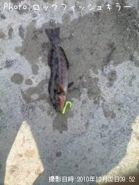 �����ʤ�