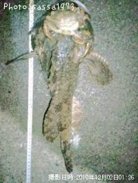 �ȥ�������