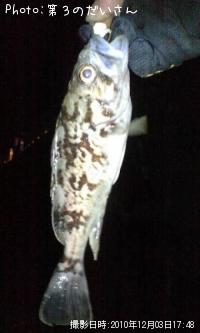 ¥¿¥±¥Î¥³¥á¥Ð¥ë