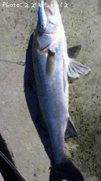 �����Х�