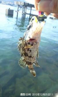 �����Υ���Х�