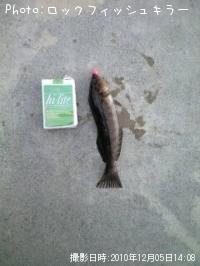 �����ʤ�