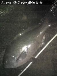 �����᥸��