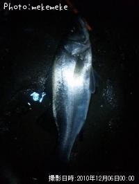 �ҥ饹����