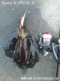 �����ꥤ��