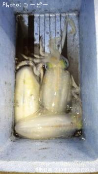 ¥¢¥ª¥ê¥¤¥«