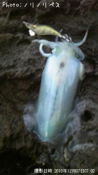 ¥¢¥ª¥ê¥¤¥«