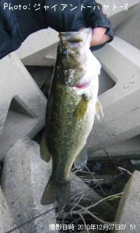 ¥Ö¥é¥Ã¥¯¥Ð¥¹