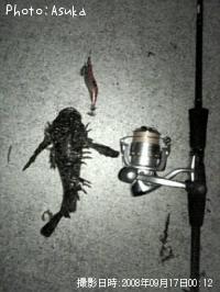 ¥ª¥Ë¥ª¥³¥¼