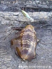 �����ꥤ��