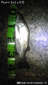 �����Х�