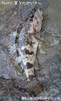 �����Υ���Х�