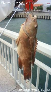 ���֥���