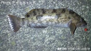 �����ʥ�