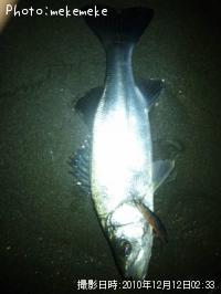 �ҥ饹����