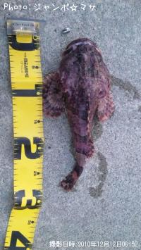 ���ॷ������