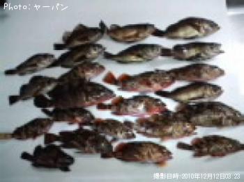 ��Х롦������