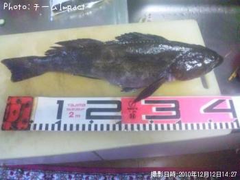 �����ʥ�