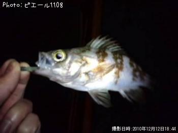 ¥á¥Ð¥ë