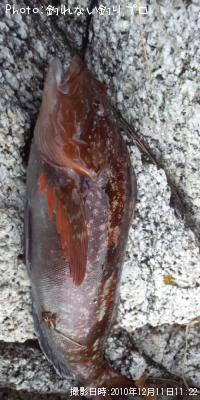 �����ʥ�