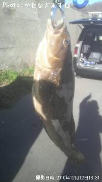 �����ʥ�