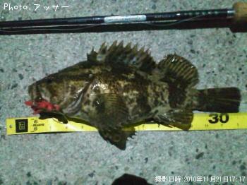 �����Υ���Х�