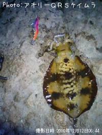 �����ꥤ��