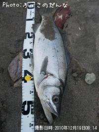 �ҥ饹����