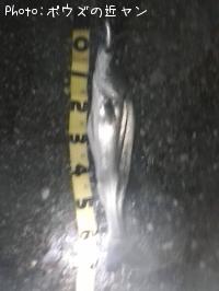 �ޥ륹����