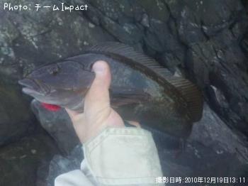 �����ʥ�